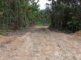  Terreno for sale in Amazonas, Rio Preto da Eva, Amazonas