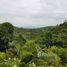  Land for sale in Surat Thani, Taling Ngam, Koh Samui, Surat Thani