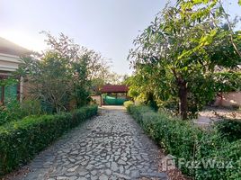 4 Bedrooms House for sale in Pa Daet, Chiang Mai House for Sale with a large plot of Land in Padat