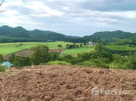 ขายที่ดิน ใน โป่งตาลอง, นครราชสีมา, โป่งตาลอง, ปากช่อง, นครราชสีมา, ไทย