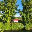  Land for sale in Ban Hong Lamphun, Lao Yao, Ban Hong, Lamphun