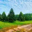  Land for sale in Khlong Pun, Rayong, Khlong Pun