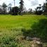  Land for sale in Khon Kaen, Kut Phia Khom, Chonnabot, Khon Kaen