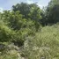  Land for sale in Koh Samui Surat Thani, Bo Phut, Koh Samui, Surat Thani