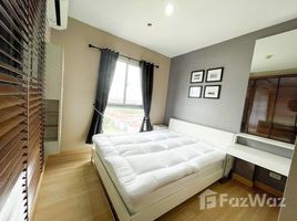 1 Bedroom Condo for rent at The Parkland Srinakarin Lakeside, Samrong Nuea, Mueang Samut Prakan