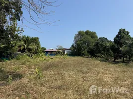  Terreno (Parcela) en venta en Phuket Town, Phuket, Rawai, Phuket Town