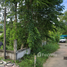 Land for sale in Mueang Chai Nat, Chai Nat, Ban Kluai, Mueang Chai Nat