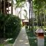 6 Schlafzimmer Villa zu vermieten in Thailand, San Klang, San Kamphaeng, Chiang Mai, Thailand