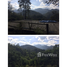  Land for sale in Thailand, Mueang Kai, Mae Taeng, Chiang Mai, Thailand