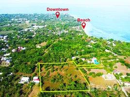  Grundstück zu verkaufen in Santa Fe, Central Visayas, Santa Fe, Cebu, Central Visayas, Philippinen