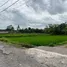  Grundstück zu verkaufen in Pejeng, Bali, Pejeng, Gianyar, Bali, Indonesien