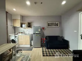 คอนโด 1 ห้องนอน ให้เช่า ในโครงการ เอสเซ็นท์ คอนโด, ฟ้าฮ่าม, เมืองเชียงใหม่, เชียงใหม่, ไทย