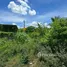  Land for sale in Bang Khu Rat, Nonthaburi, Bang Khu Rat, Bang Bua Thong, Nonthaburi
