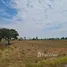  Land for sale in Nakhon Ratchasima, Dan Nai, Dan Khun Thot, Nakhon Ratchasima