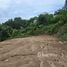  Land for sale in Chalong, Phuket, Chalong, Phuket Town, Phuket, Thailand