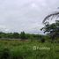  Land for sale in Thep Krasattri, Thalang, Thep Krasattri