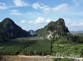 ขายที่ดิน ใน เขาคราม, กระบี่, เขาคราม, เมืองกระบี่, กระบี่