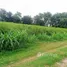  Terrain for sale in Nakhon Sawan, Bang Phra Luang, Mueang Nakhon Sawan, Nakhon Sawan