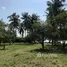  Land for sale in Surat Thani, Ban Tai, Ko Pha-Ngan, Surat Thani