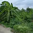  Land for sale in Bang Toei, Nakhon Pathom, Bang Toei, Sam Phran, Nakhon Pathom