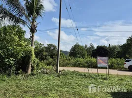 ขายที่ดิน ใน ขนงพระ, นครราชสีมา, ขนงพระ, ปากช่อง, นครราชสีมา, ไทย