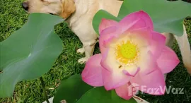 ยูนิตที่เหลืออยู่ในโครงการ คอร์ทยาร์ด วิลล่า พระราม 9-วงแหวน