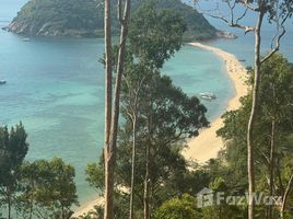 ขายที่ดิน ใน เกาะพะงัน, สุราษฎร์ธานี, เกาะพะงัน, เกาะพะงัน