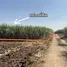  Land for sale in Erawan, Loei, Erawan, Erawan, Loei