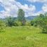  Land for sale in Choeng Thale, Thalang, Choeng Thale