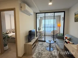 คอนโด 1 ห้องนอน ให้เช่า ในโครงการ เดอะ เบส บูกิต, วิชิต