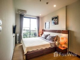 1 Schlafzimmer Wohnung zu vermieten im The Astra Condo, Chang Khlan, Mueang Chiang Mai, Chiang Mai
