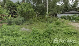 N/A Grundstück zu verkaufen in Mai Khao, Phuket 