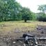  Terreno (Parcela) en venta en Costa Rica, Nicoya, Guanacaste, Costa Rica