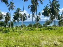  Terrain for sale in Samana, Santa Barbara De Samana, Samana