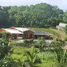 4 Schlafzimmer Haus zu verkaufen in Puntarenas, Puntarenas, Puntarenas, Puntarenas, Costa Rica