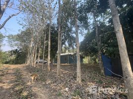  Land for sale in Hua Hin, Nong Phlap, Hua Hin