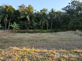  Terreno (Parcela) en venta en Tailandia, Chiang Khan, Chiang Khan, Loei, Tailandia