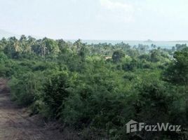 N/A Land for sale in Bo Phut, Koh Samui Bophut Land For Sale