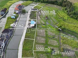  Terrain for sale in Bali, Canggu, Badung, Bali