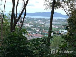 ขายที่ดิน ใน วิชิต, ภูเก็ต, วิชิต