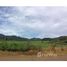  Land for sale in San Sebastian Del Oeste, Jalisco, San Sebastian Del Oeste