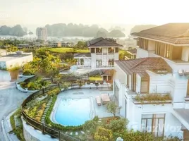 4 Schlafzimmer Villa zu verkaufen in Ha Long, Quang Ninh, Hung Thang, Ha Long, Quang Ninh