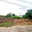  Land for sale in Thep Krasattri, Phuket, Thep Krasattri, Thalang, Phuket, Thailand