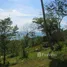  Grundstück zu verkaufen in Koh Phangan, Surat Thani, Koh Tao
