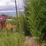 Terrain à vendre à San Rafael, Heredia, San Rafael, Heredia