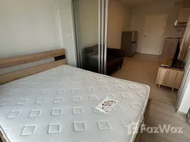 Studio Condo for rent at Plum Condo Sukhumvit 62, Bang Chak, Phra Khanong