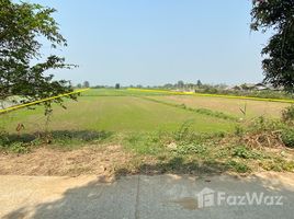N/A Land for sale in Ban Dai, Chiang Rai 7-1-27 Rai Land in Mae Sai for Sale