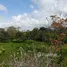  Terreno (Parcela) en venta en Costa Rica, Limón, Limón, Costa Rica