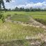  Земельный участок for sale in Phrabat, Lampang, Phrabat, Mueang Lampang, Lampang