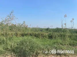  Grundstück zu verkaufen in Bang Sai, Phra Nakhon Si Ayutthaya, Mai Tra